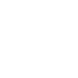 Icon Montagna