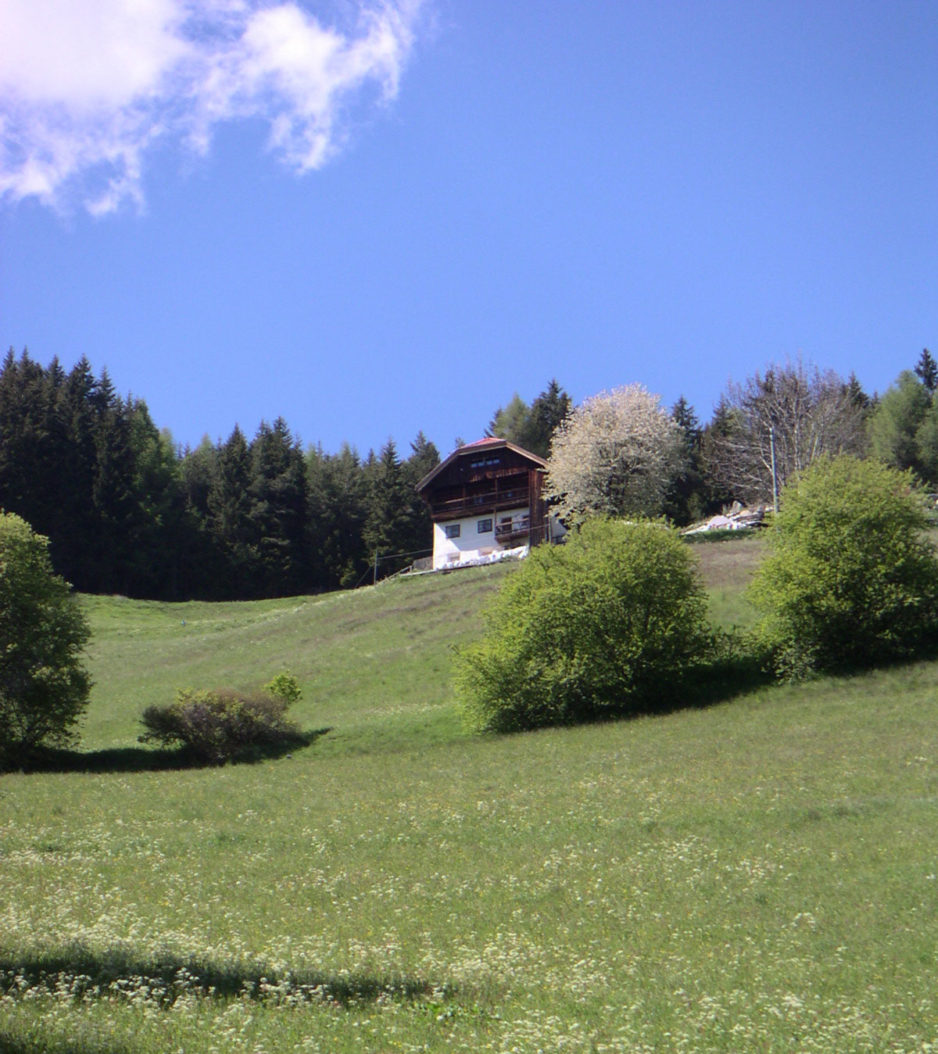 Il Maso in estate - 15