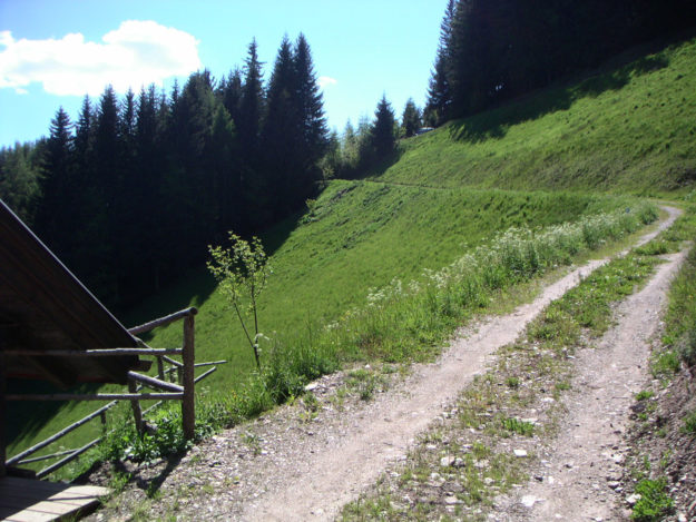 Il Maso in estate - 2