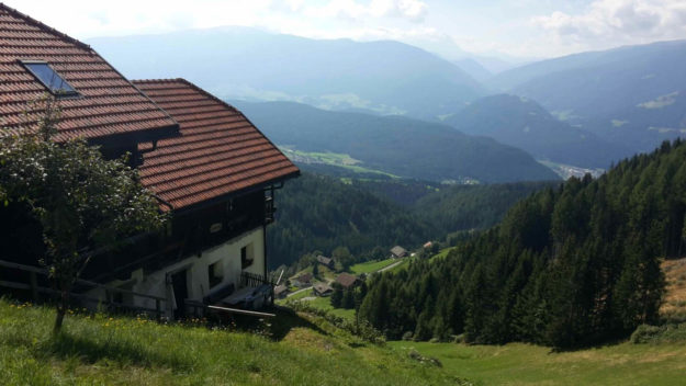 Il Maso in estate - 24