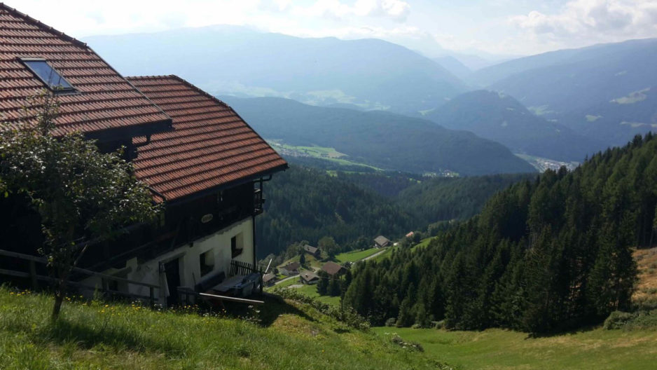 Il Maso in estate - 24