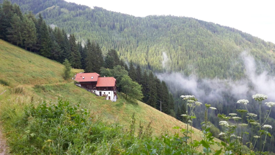 Il Maso in estate - 25