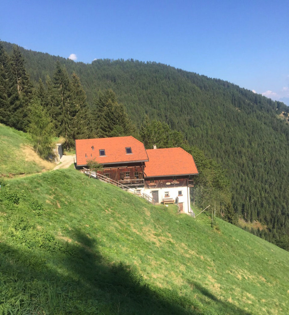 Il Maso in estate - 26