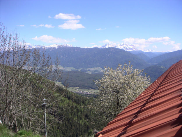 Il Maso in estate - 3