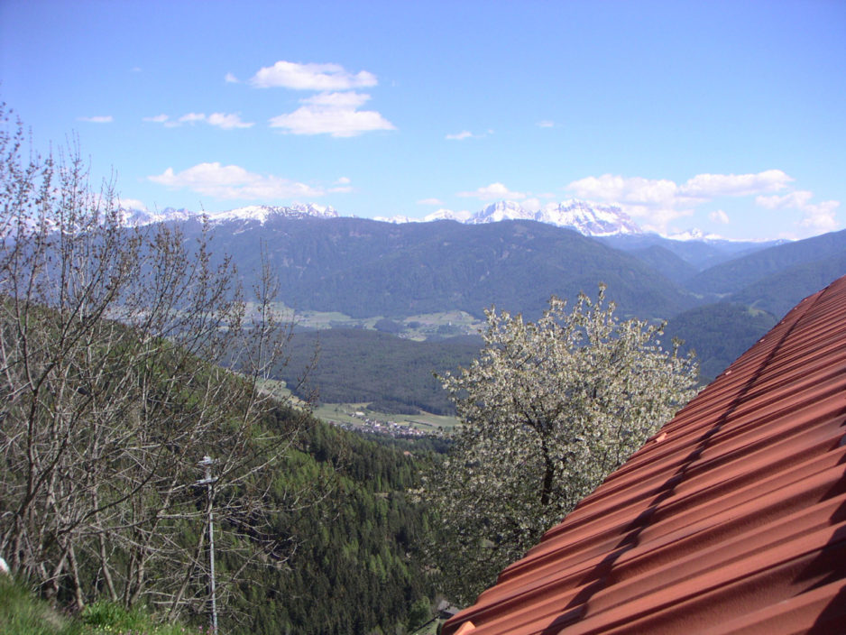 Il Maso in estate - 3