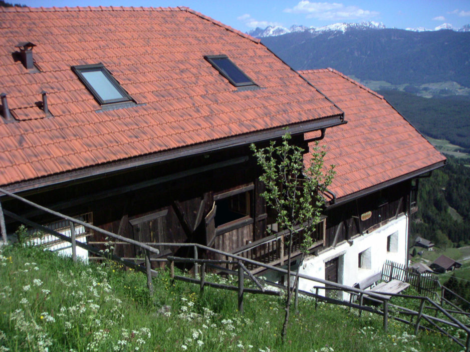 Il Maso in estate - 4