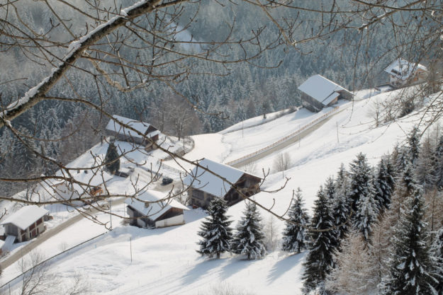 Il Maso in inverno - 14