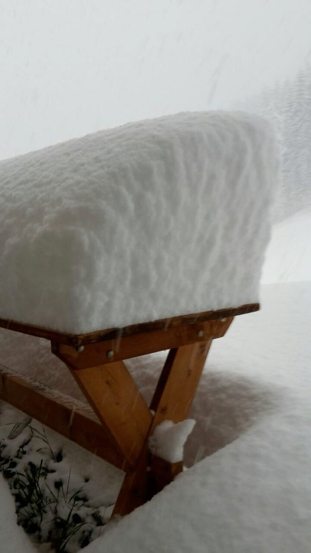 Il Maso in inverno - 19