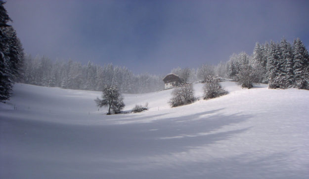 Il Maso in inverno - 3